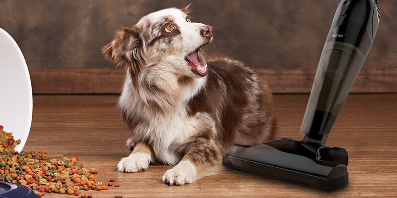 Benefits of Using Handheld Vacuum Cleaner